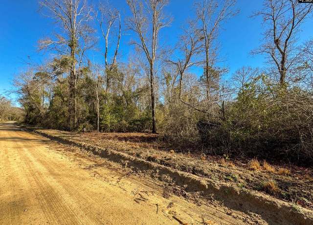 Property at 0 Palomino Rd Lot 3, Leesville, SC 29070