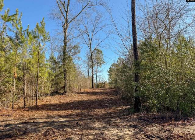Property at 0 Palomino Rd Lot 4, Leesville, SC 29070