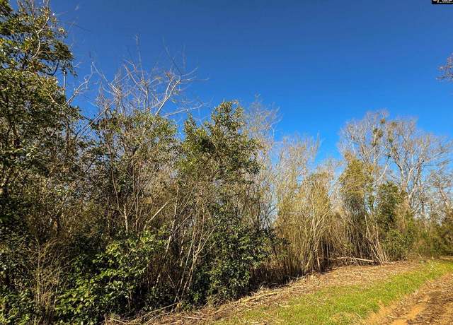 Property at 0 Palomino Rd Lot 6, Leesville, SC 29070