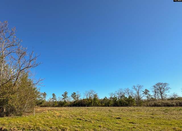 Property at 0 Palomino Rd Lot 7, Leesville, SC 29070