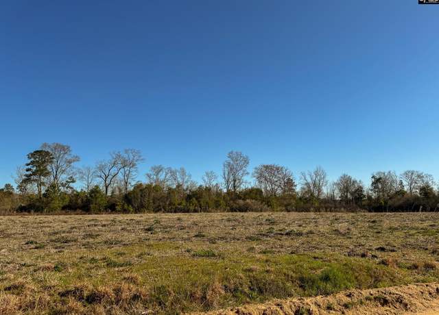 Property at 0 Palomino Rd Lot 8, Leesville, SC 29070