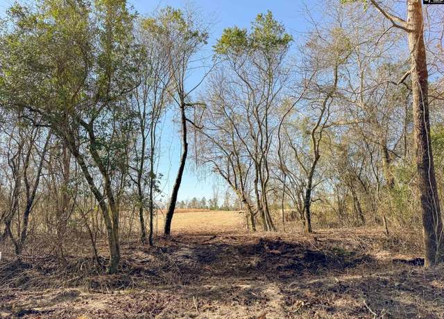 Property at 0 Palomino Rd Lot 11, Leesville, SC 29070
