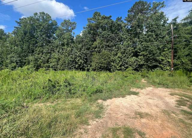 Property at 0 Roper Mountain Ct, Lexington, SC 29073
