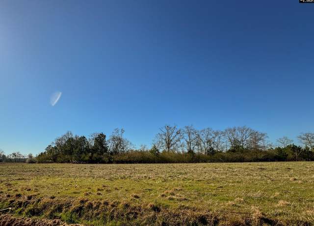 Property at 0 Palomino Rd Lot 13, Leesville, SC 29070