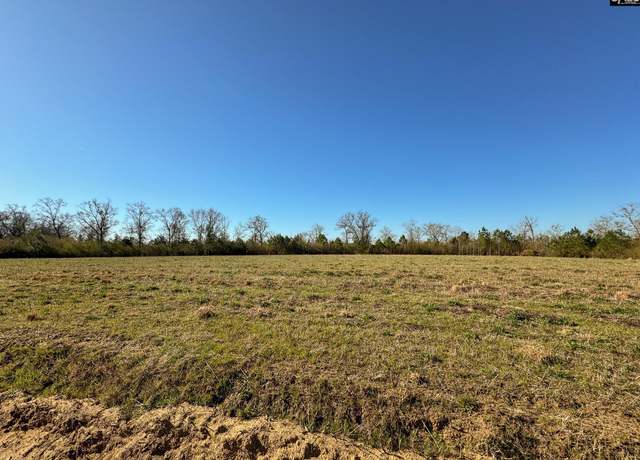 Property at 0 Palomino Rd Lot 14, Leesville, SC 29070