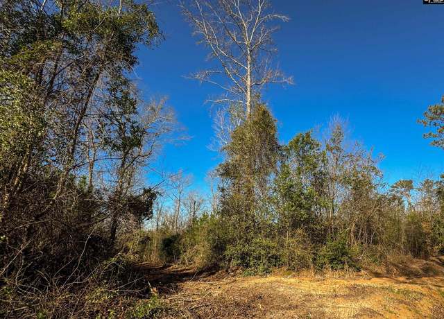 Property at 0 Palomino Rd Lot 15, Leesville, SC 29070