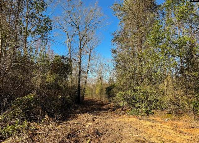 Property at 0 Palomino Rd Lot 16, Leesville, SC 29070