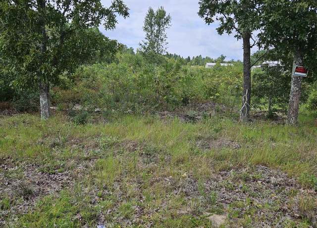 Property at 736 Bush Berry Rd, Pelion, SC 29123