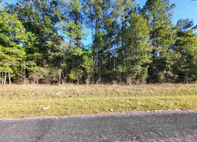 Property at TBD Catalina Blvd Lot 7, North, SC 29112