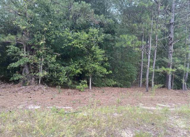 Property at TBD Festival Trail Rd, Salley, SC 29137