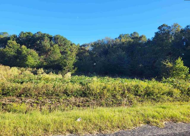 Property at TBD Catalina Blvd Lot 3, North, SC 29112