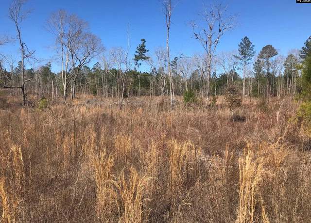 Property at Terry Rd, Pelion, SC 29123