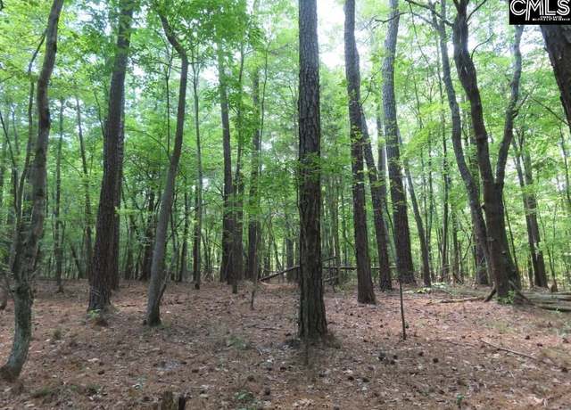 Property at 0 Park Rd, Ridgeway, SC 29130