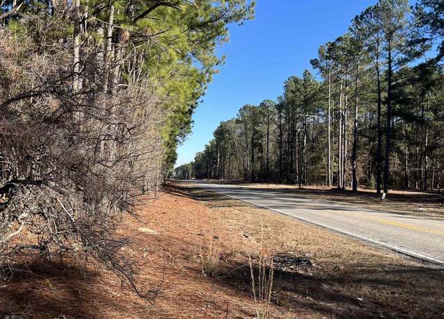 Property at TBD Swansea Rd Unit Tract b, Swansea, SC 29160