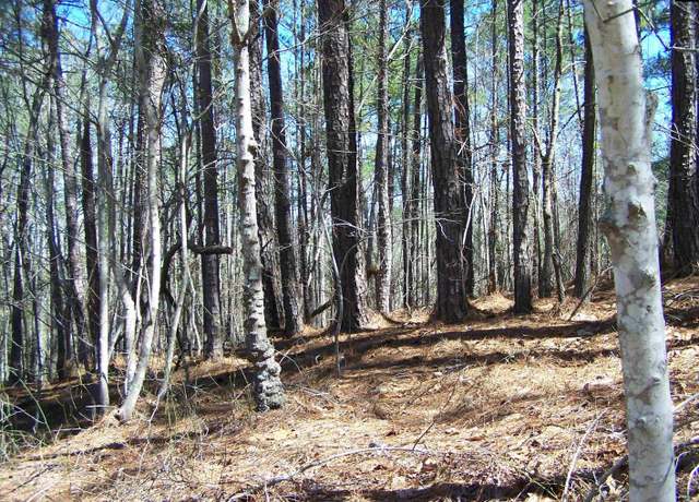Property at 305 - 321 Dubard Boyle Rd, Columbia, SC 29203