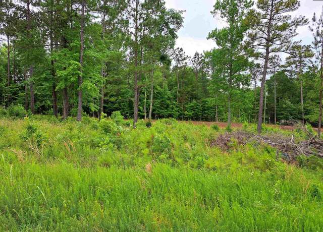 Property at Lot #1 Longleaf Ct, Ridgeway, SC 29130