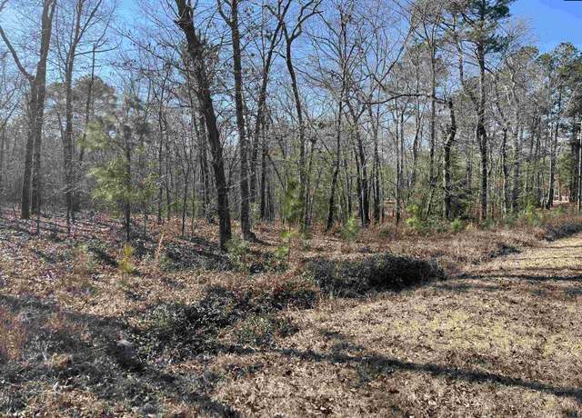 Property at 228 Water Tank Rd, Pelion, SC 29123