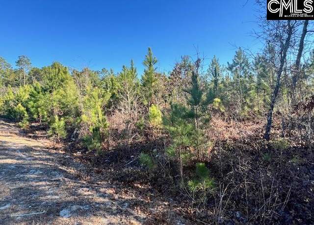 Property at TBD Stephens Rd, Bethune, SC 29009