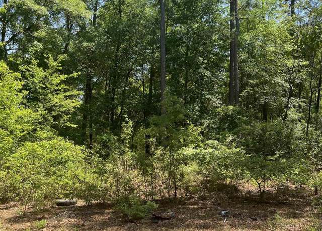 Property at 416 Otis Rd, Pelion, SC 29123, 5 beds, 3 baths