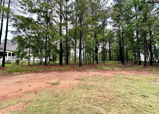Property at 513 Misty Banks Dr, Chapin, SC 29036