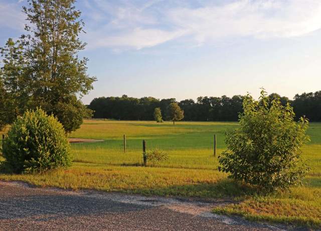 Property at TBD Poinsettia Rd, Wagener, SC 29164