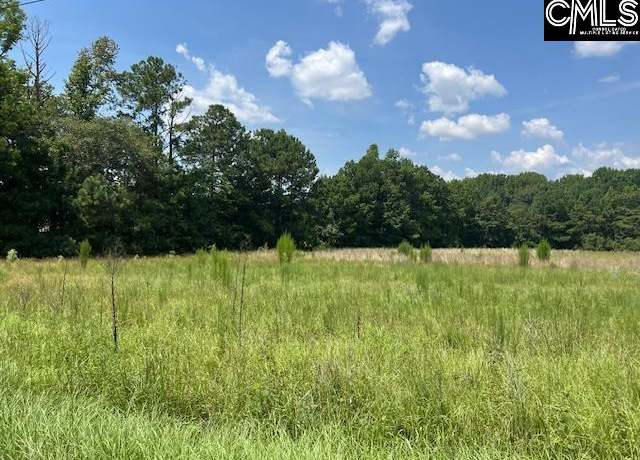 Property at 711 Longtown, Columbia, SC 29229