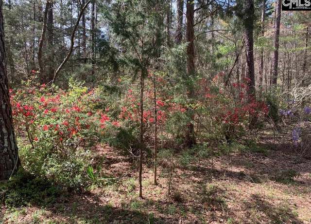 Property at 0 TBD PARCEL B Eleazer Rd, Irmo, SC 29063