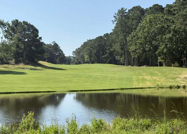 Property at 108 Oak Trace Ct, Chapin, SC 29036