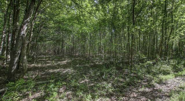 Photo of TBD New Meadow Dr, Other, SC 29471
