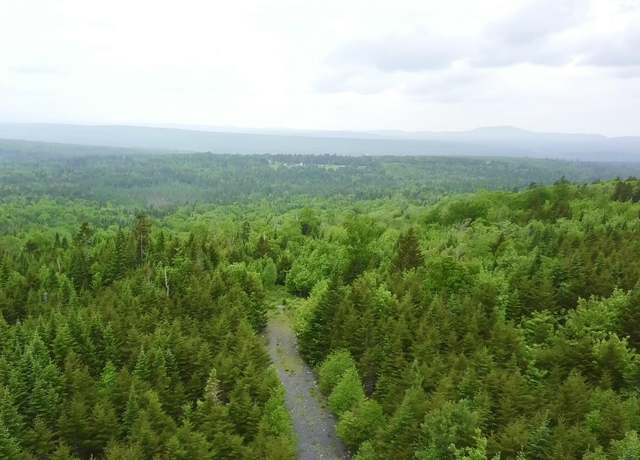 Property at 14 Alpine Rdg, Greenville, ME 04441