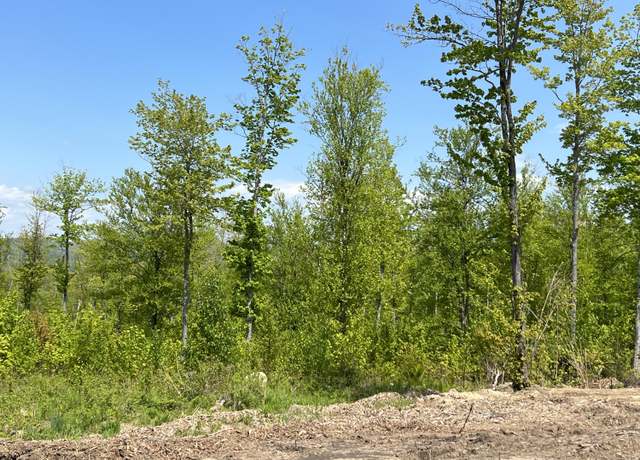Property at Lot 5B Harmony Row, Bethel, ME 04217