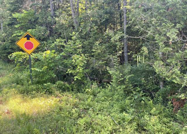 Property at Lot 15-15 Brann Rd, Levant, ME 04456