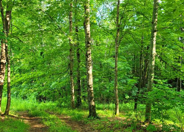 Property at Map34 Lot4 Orchard Dr, Wilton, ME 04294