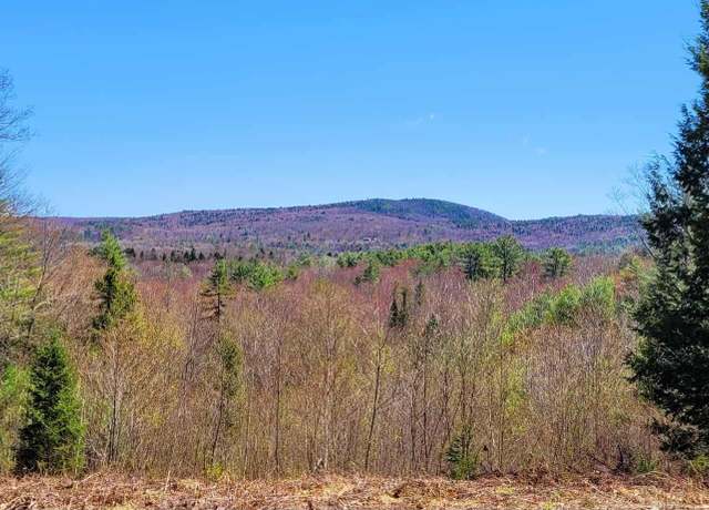 Property at 4 Youngs Rd, Canton, ME 04221