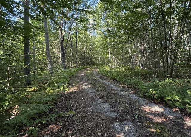 Property at Part of Map 7 Lot 48-a Nelson Ridge Rd S, Washington, ME 04574