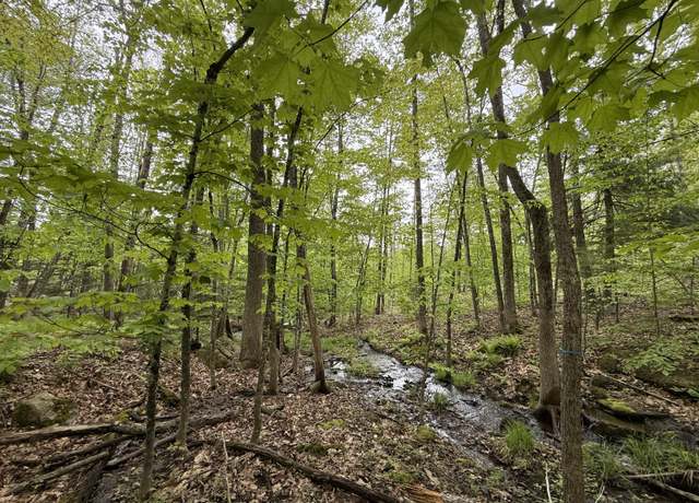 Property at Lot 2 Naples Rd, Harrison, ME 04040