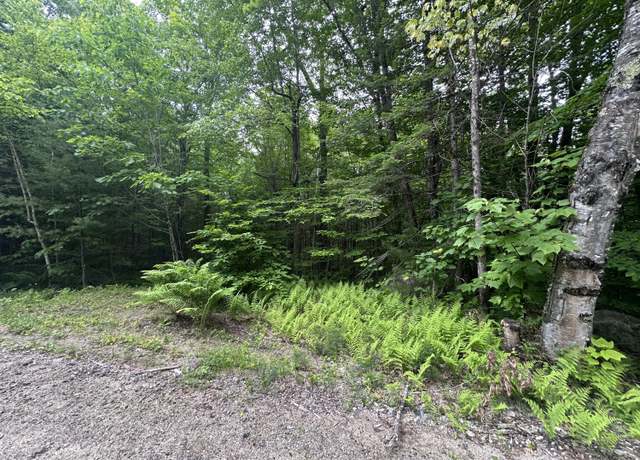 Property at R13-023-B Hobbs Rd, Greenwood, ME 04255