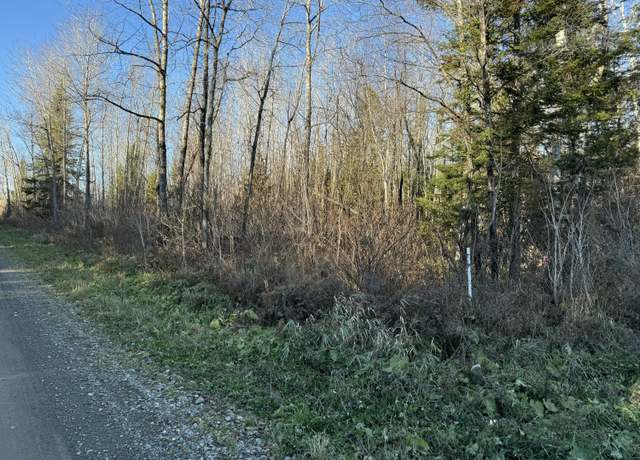 Property at Lot #6A Off Alexander Rd, Van Buren, ME 04785