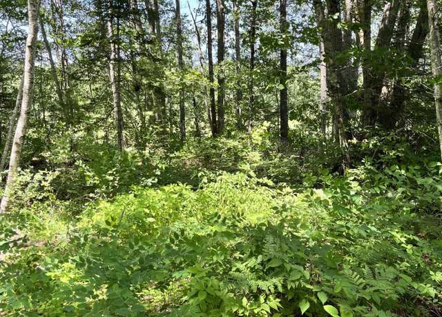 Property at TBD Frye Rd, Somerville, ME 04348