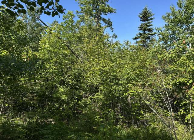 Property at M4L19 Village Rd, Jackson, ME 04921