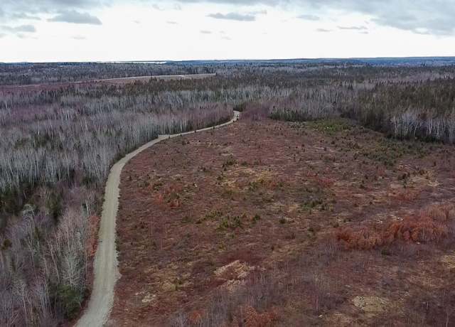 Property at M10L1 Route 1, Jonesboro, ME 04648