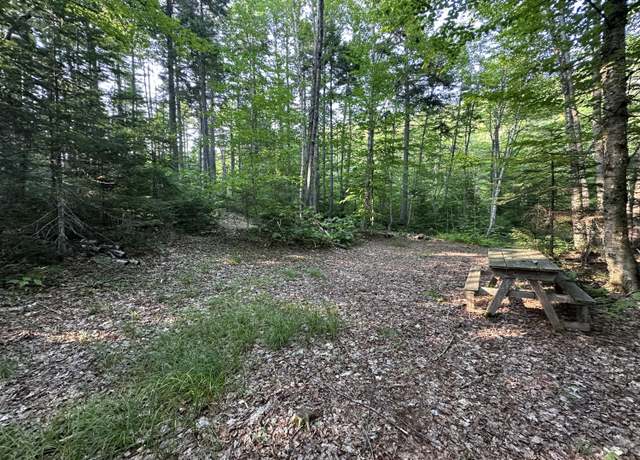 Property at M08 Lot 32 Main St, Sandy River Plt, ME 04970