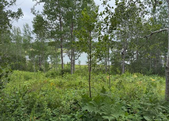 Property at M10l200-1 Off Lyons Rd, Lubec, ME 04652