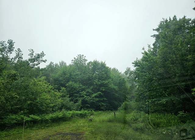 Property at Lot 2-12 Diamond Match Rd, Milo, ME 04463
