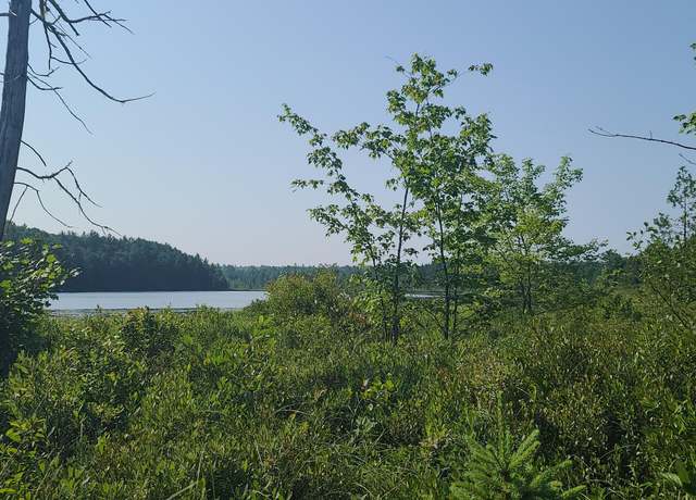 Property at Lot 2.2 Route 9, T22 Md, ME 04622