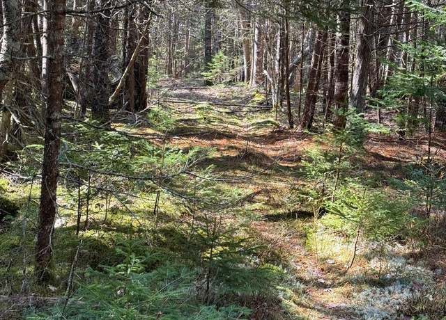 Property at Lot 48A Route 1, Gouldsboro, ME 04607