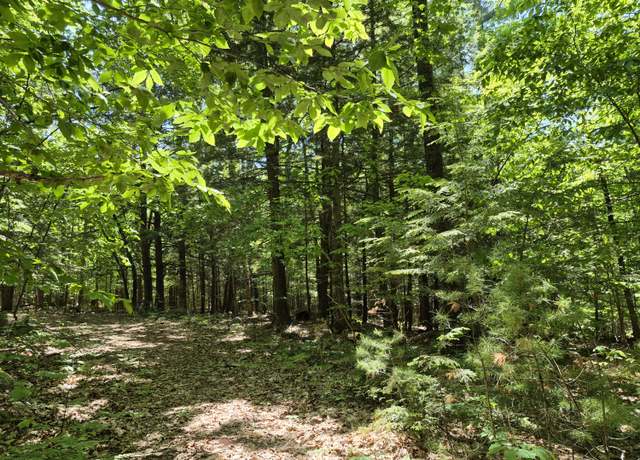 Property at Lot 36A Foster Ln, Belgrade, ME 04918