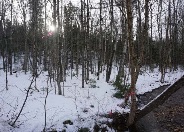 Property at M13L18A-1 Redding Rd, Woodstock, ME 04219