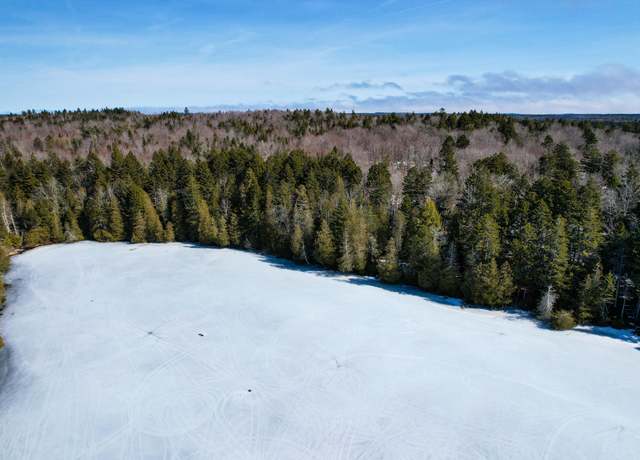 Property at M19 L13-C Halls Mills Rd, Whiting, ME 04691