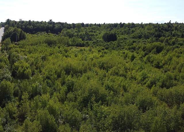 Property at 23-003-L Route 1, Gouldsboro, ME 04607